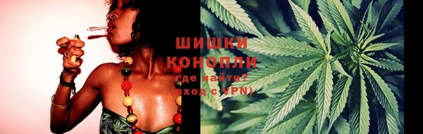 ПСИЛОЦИБИНОВЫЕ ГРИБЫ Бронницы