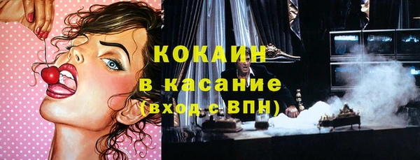 хмурый Бородино