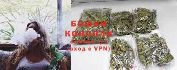 ПСИЛОЦИБИНОВЫЕ ГРИБЫ Бронницы
