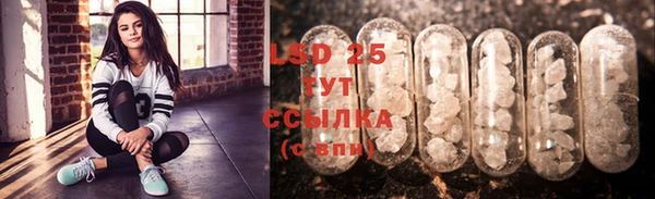 хмурый Бородино
