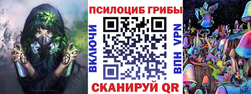 Купить закладки  Высоковск  Псилоцибиновые грибы Psilocybine cubensis 
